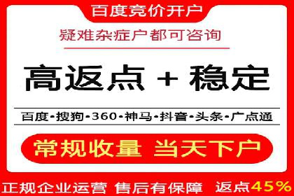 网络推广策略：竞价广告的实践案例